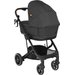 Wózek dziecięcy 2w1 Moss Skiddou - onyx
