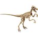 Velociraptor szkielet Clementoni