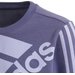 Bluza młodzieżowa Essentials Logo Sweatshirt Adidas - filotowy