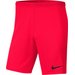 Spodenki dziecięce Dry Park III NB Nike - czerwone II