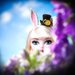 Lalki Royals Ever After High - Bunny Blanc