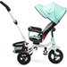 Rowerek trójkołowy Wroom Toyz Caretero - turquoise