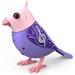 Śpiewający ptaszek DigiBirds Dumel - Melody