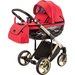 Wózek dziecięcy 2w1 Chantal Special Edition Adamex - C7/A
