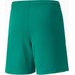 Spodenki młodzieżowe teamLIGA Shorts Puma - zielone