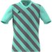 Koszulka juniorska Entrada 22 Graphic Jersey Adidas - seledynowy