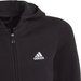 Bluza juniorska Essentials Hoodie Full Zip Adidas