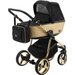 Wózek dziecięcy 2w1 Reggio Special Edition Adamex - Y-828