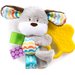 Gryzaki pluszaki z metkami Bright Starts - piesek