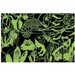 Puzzle świecące w ciemności 100 el. Mudpuppy - żaby i jaszczurki